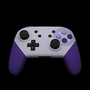 Pro Controller 16 Bit